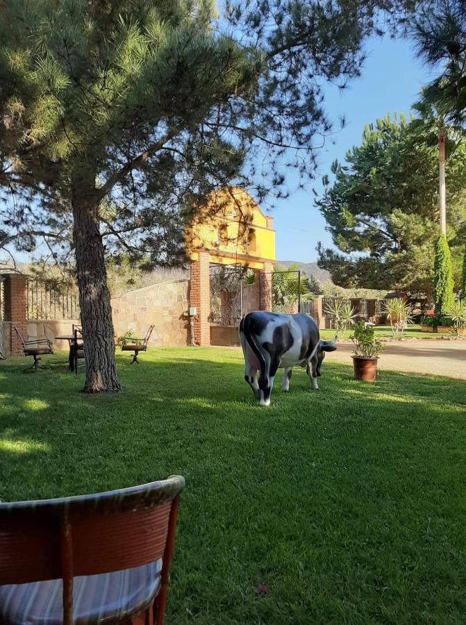 Rancho El Campanario En La Ruta Del Vino Hostel บาเย เด กัวลาลูเป ภายนอก รูปภาพ