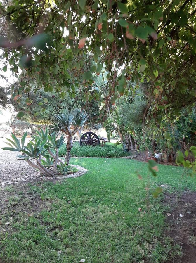 Rancho El Campanario En La Ruta Del Vino Hostel บาเย เด กัวลาลูเป ภายนอก รูปภาพ