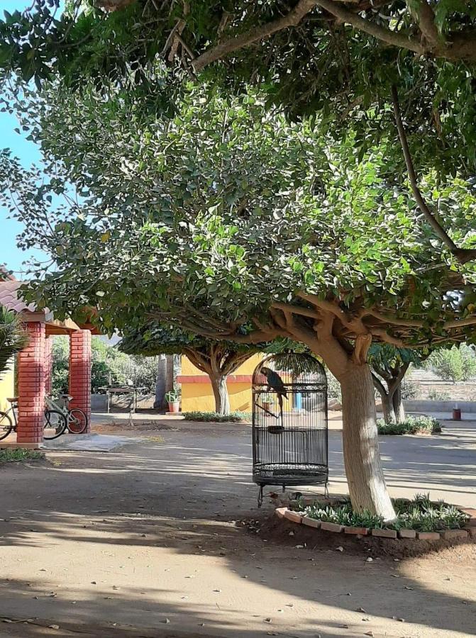 Rancho El Campanario En La Ruta Del Vino Hostel บาเย เด กัวลาลูเป ภายนอก รูปภาพ