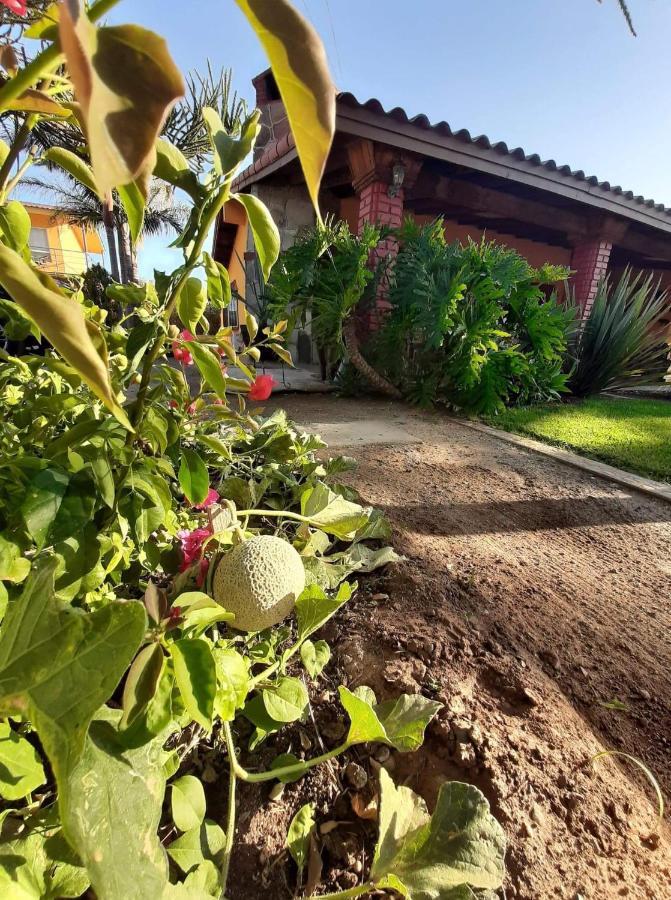 Rancho El Campanario En La Ruta Del Vino Hostel บาเย เด กัวลาลูเป ภายนอก รูปภาพ