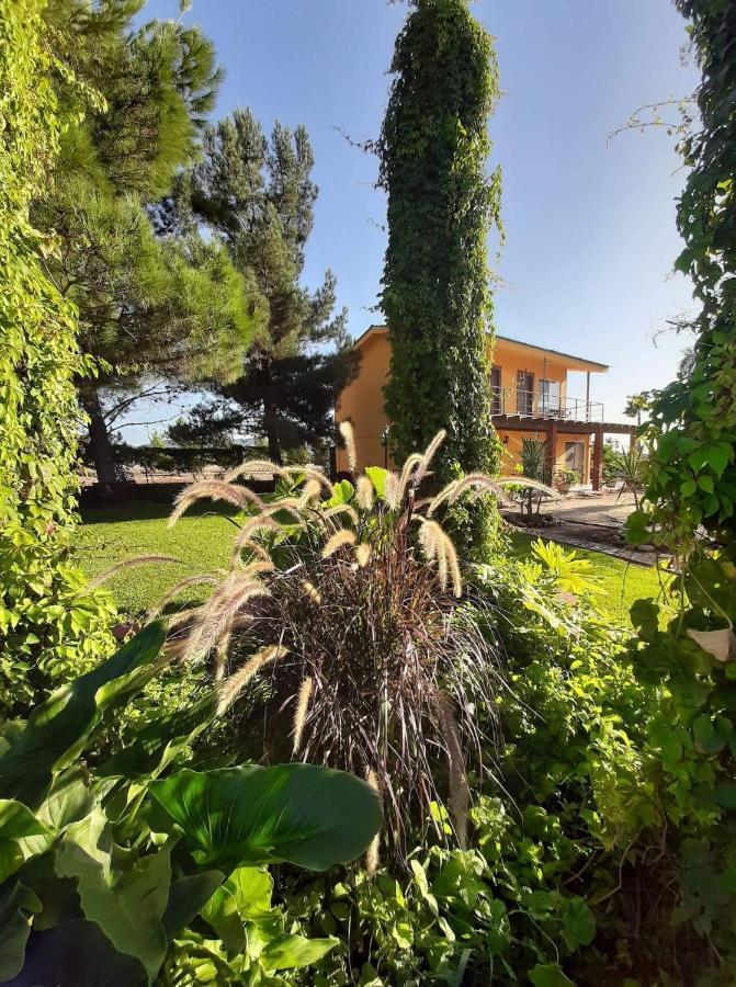 Rancho El Campanario En La Ruta Del Vino Hostel บาเย เด กัวลาลูเป ภายนอก รูปภาพ