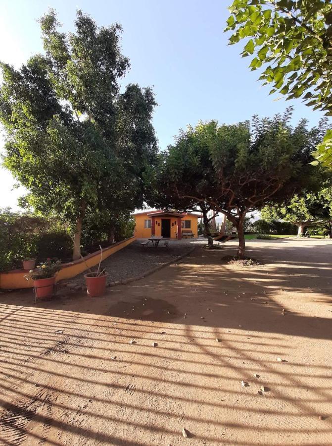 Rancho El Campanario En La Ruta Del Vino Hostel บาเย เด กัวลาลูเป ภายนอก รูปภาพ