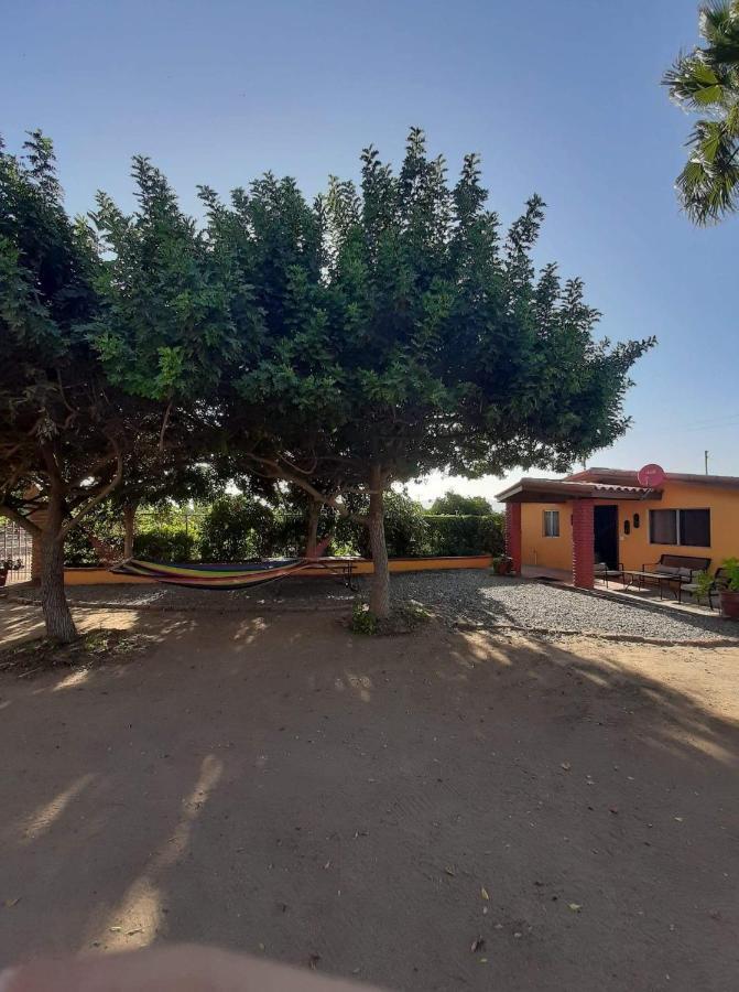 Rancho El Campanario En La Ruta Del Vino Hostel บาเย เด กัวลาลูเป ภายนอก รูปภาพ